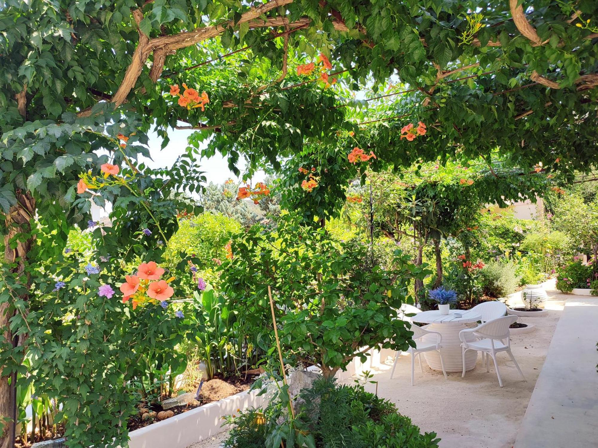 Ferienhaus Anticlea Ii Vathy (Ithaca)